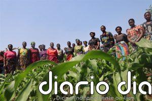 Oxfam Intermón alerta de la "concentración extrema de riqueza" en su 70 aniversario