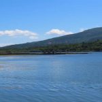 Presentan demanda de ejecución para que administraciones cumplan el fallo por contaminación del embalse de As Conchas