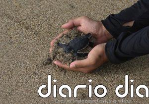 Proteger el 30% del planeta para 2030 es posible, pero la protección de océanos se está quedando atrás, según un informe