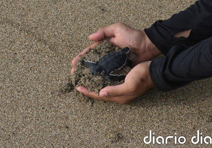 Proteger el 30% del planeta para 2030 es posible, pero la protección de océanos se está quedando atrás, según un informe
