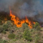 ¿Qué se puede hacer ya para prevenir los incendios forestales?