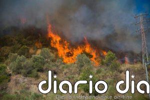 ¿Qué se puede hacer ya para prevenir los incendios forestales?