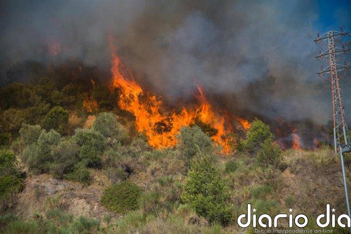 ¿Qué se puede hacer ya para prevenir los incendios forestales?