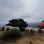 Rehaleros dirigen una carta abierta a Planas para pedir "medidas fiscales urgentes para aliviar los costes que soportan"