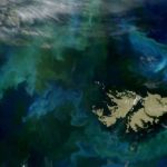 Reino Unido reivindica su soberanía sobre las Malvinas y defiende la autodeterminación de sus habitantes