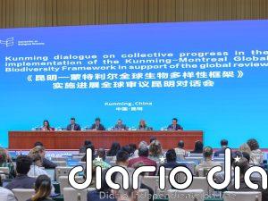 Responsable de biodiversidad de la ONU urge a reorientar fondos para conservación