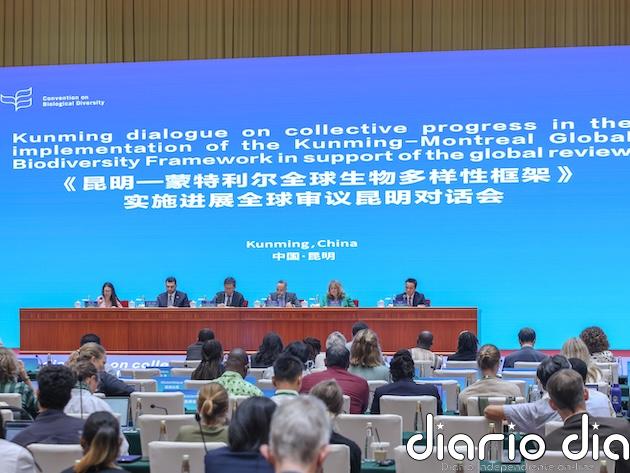 Responsable de biodiversidad de la ONU urge a reorientar fondos para conservación