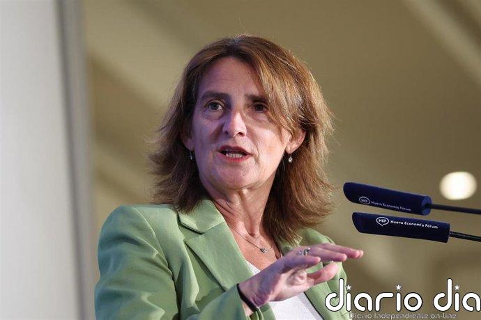Ribera sostiene que es difícil que 80.000 migrantes se pusiesen de acuerdo "por sí solos" para entrar en Ceuta