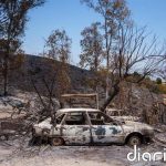Se elevan a 15 los fallecidos por el incendio de Los Gallardos (Almería)