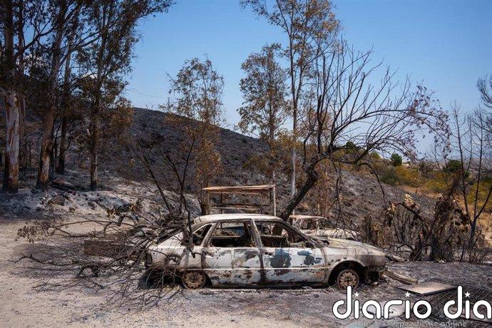 Se elevan a 15 los fallecidos por el incendio de Los Gallardos (Almería)