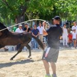 Sineu acoge la primera Diada del Caballo Mallorquín