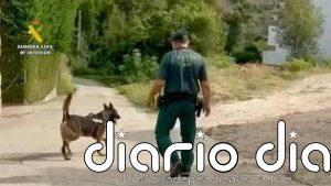 Termina sin resultados el dispositivo de búsqueda del varón desaparecido en Losar la Vera