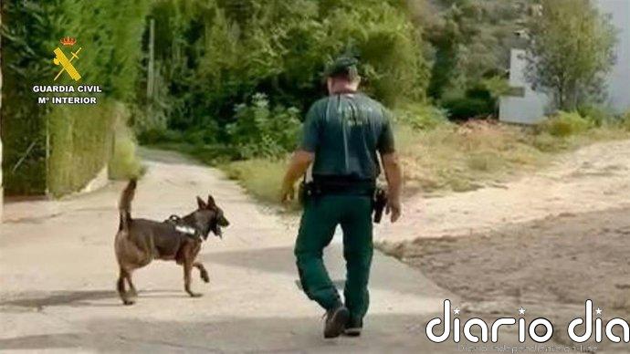 Termina sin resultados el dispositivo de búsqueda del varón desaparecido en Losar la Vera