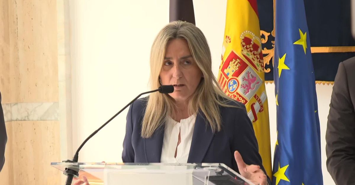 tolon-hay-que-reforzar-la-lectura-porque-sin-comprension-lectora-no-sabremos-resolver-ningun-problema.jpg