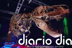 Un análisis dental revela que el T. rex era de sangre caliente