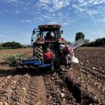 Un campo demostrativo en Lardero busca mejorar la adaptación del peral a las nuevas condiciones climáticas