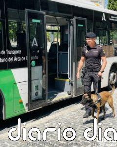 Un detenido tras las quejas de un usuario de un autobús metropolitano de Granada por consumir hachís a bordo