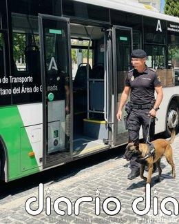 Un detenido tras las quejas de un usuario de un autobús metropolitano de Granada por consumir hachís a bordo
