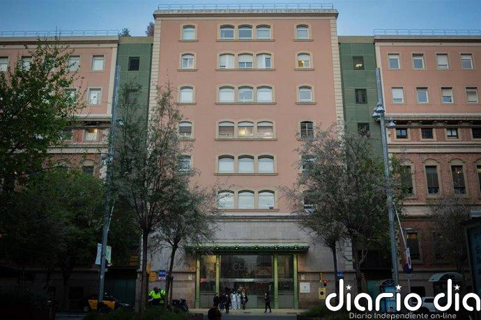 Un estudio identifica un nuevo tratamiento que mejora los principales de la narcolepsia