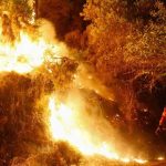 Un incendio registrado en la montaña de Quiroga (Lugo) supera ya las 20 hectáreas calcinadas