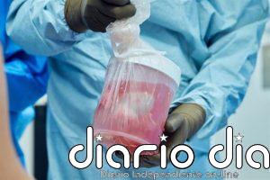 Un riñón de cerdo modificado genéticamente mantiene 271 días sin diálisis hasta recibir un trasplante humano