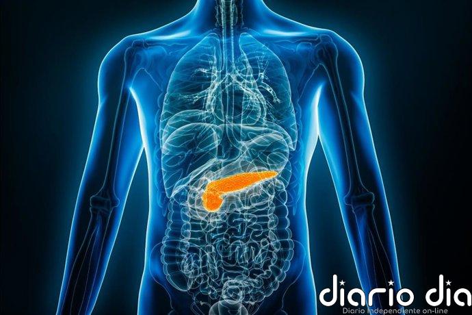 Una IA podría predecir el riesgo de cáncer de páncreas años antes del diagnóstico