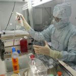 Una terapia de 'células madre con GPS' desarrollada en Murcia reduce un 94% las fracturas por osteoporosis