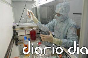 Una terapia de 'células madre con GPS' desarrollada en Murcia reduce un 94% las fracturas por osteoporosis
