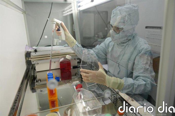 Una terapia de 'células madre con GPS' desarrollada en Murcia reduce un 94% las fracturas por osteoporosis