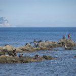 UNICEF califica de "muy buena noticia" la reagrupación de los 54 menores migrantes de Ceuta con familiares en Península
