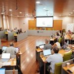 Universidad de Málaga convoca 29 plazas de Profesorado Titular de Universidad y ayudas para orientación postdoctoral