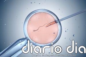 Vacunas: crean en laboratorio células B humanas para estudiar cómo mejoran los anticuerpos