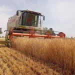 VanEck lanza un ETF global con exposición al sector del agronegocio