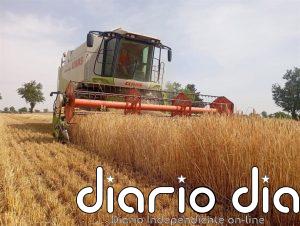 VanEck lanza un ETF global con exposición al sector del agronegocio