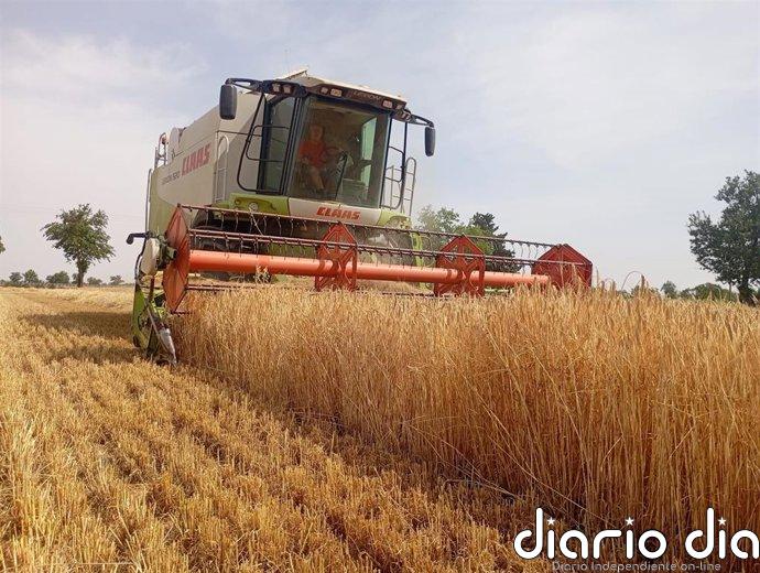 VanEck lanza un ETF global con exposición al sector del agronegocio