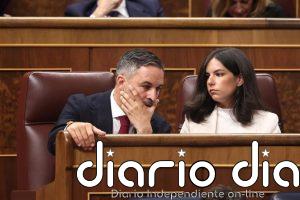 Vox pide devolver al Gobierno la ley de violencia vicaria y alega que la mayoría de los crímenes los cometen las madres