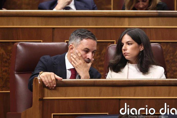Vox pide devolver al Gobierno la ley de violencia vicaria y alega que la mayoría de los crímenes los cometen las madres