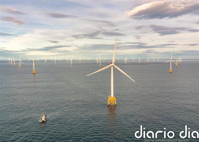 Acciona se adjudica en Australia una red de transmisión eólica marina de hasta 1.000 millones de euros