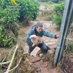 Adam se ceba en la Comunidad Valenciana con 3 muertos y deja cortes de luz y carreteras cortadas en Baleares