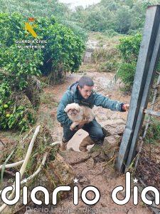 Adam se ceba en la Comunidad Valenciana con 3 muertos y deja cortes de luz y carreteras cortadas en Baleares