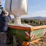 Agricultores alertan del impacto en la siembra de la suspensión cautelar de la caza de nueve especies de aves en Madrid