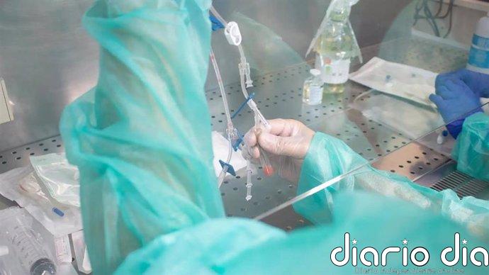 Andalucía se alinea con la OMS para abordar de forma segura las enfermedades no transmisibles
