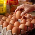 Aragón lidera la producción de huevos y supera la media nacional de consumo con 158 unidades por persona en 2025