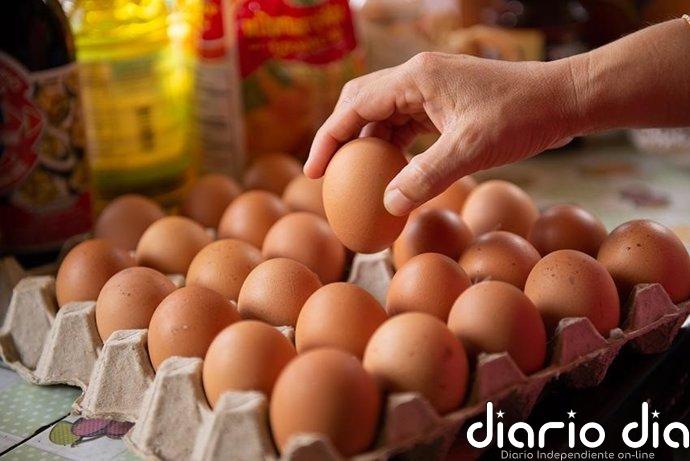 Aragón lidera la producción de huevos y supera la media nacional de consumo con 158 unidades por persona en 2025