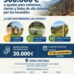 Asturias destina 500.000 euros a ayudas para colmenas, bolas de silo y cierres afectados por los incendios