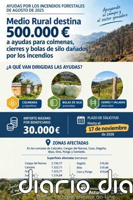 Asturias destina 500.000 euros a ayudas para colmenas, bolas de silo y cierres afectados por los incendios
