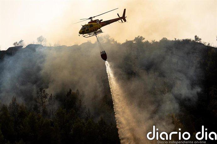 Catalunya registró 450 incendios forestales este verano con 4.833 hectáreas afectadas