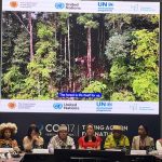 COP17 homenajea a líderes indígenas, que piden más inclusión en decisiones sobre  biodiversidad