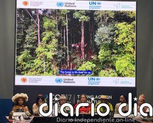 COP17 homenajea a líderes indígenas, que piden más inclusión en decisiones sobre  biodiversidad