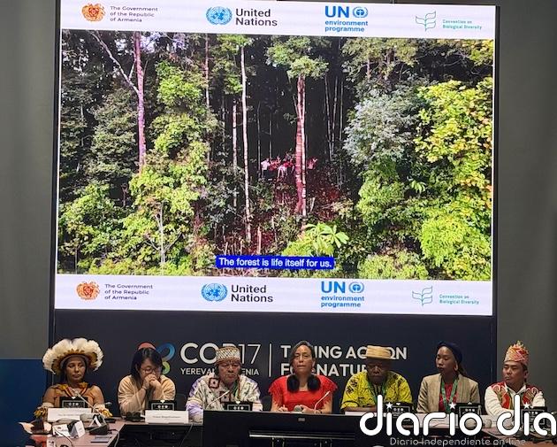 COP17 homenajea a líderes indígenas, que piden más inclusión en decisiones sobre  biodiversidad